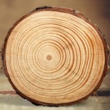 ООО "Вуд Услуги"